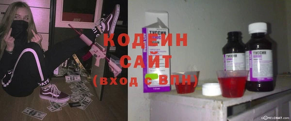 гашик Алексеевка