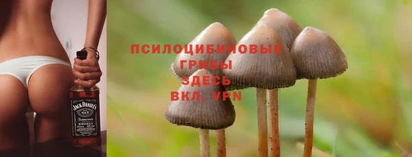герыч Алексин