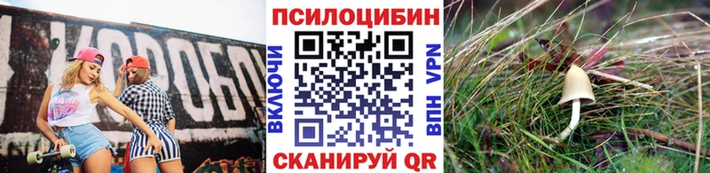 как найти   Тамбов  Галлюциногенные грибы GOLDEN TEACHER 