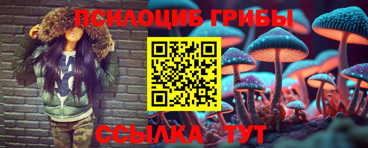 Псилоцибиновые грибы MAGIC MUSHROOMS Тамбов