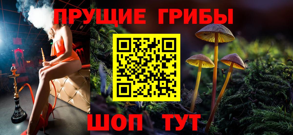 Псилоцибиновые грибы GOLDEN TEACHER  Вход с VPN  Галлюциногенные грибы Psilocybe  Тамбов 